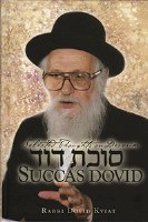 Succas David vol. 5: Devarim