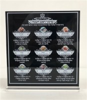Lucite Rosh Hashana Simanim Tabletop Decoration Square Shape Black