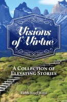 Visions of Virtue [Hardcover]