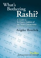 What's Bothering Rashi? Vayikra [Hardcover]