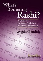 What's Bothering Rashi? Bamidbar [Hardcover]