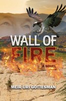 Wall of Fire [Hardcover]