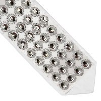 Atara Silver Colored Big Circles with Surrounding Rhinestones Design