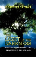 The Light in the Darkness [Hardcover]