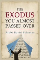 The Exodus You Almost Passed Over [Hardcover]