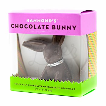 Chocolate Bunny