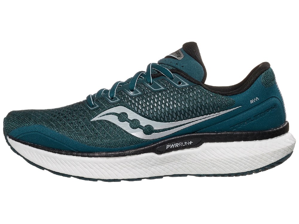 saucony triumph 11.5 it