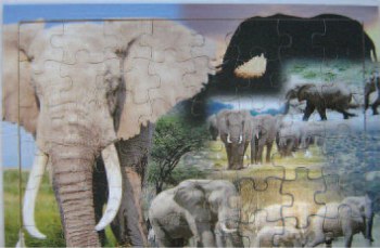 Puzzle - Elephants