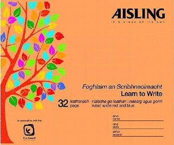 Aisling B2 Learn To Write (10)