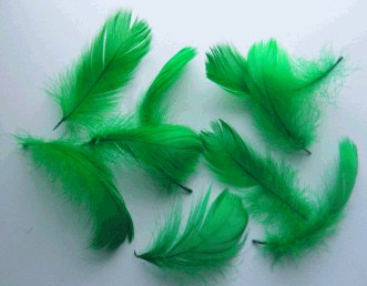 Feathers Green