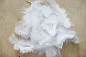 Feathers White