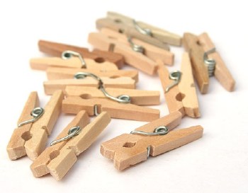 Small Wooden Pegs