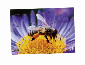 Endangered Animal Honey Bee