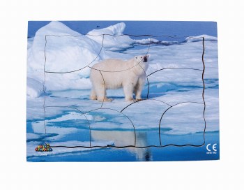 Endangered Animal Polar Bear