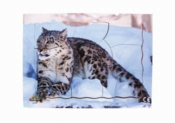 Endangered Animal Snow Leopard