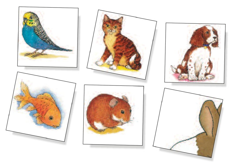 My First Puzzle - Pets - Evans Educational Ltd. My First Puzzle - Pets - Evans Educational Ltd.