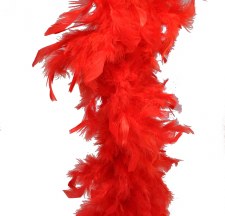 Feathers Red