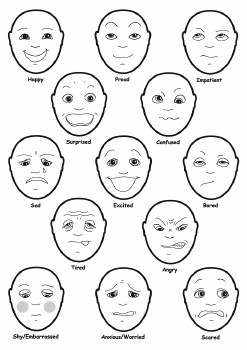 Understanding Feelings Set.