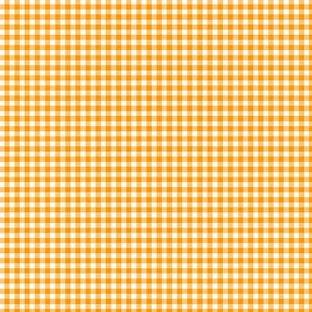 Ghostly Garden Gingham Orange