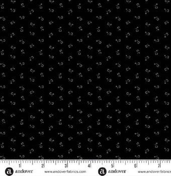 Century Black on Black Tulip