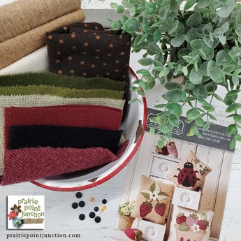 Strawberry and Ladybug Pillow Kit