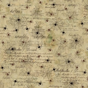 Emerald Hollow Spiderweb Butte