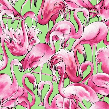 Surfside Flamingo Pink