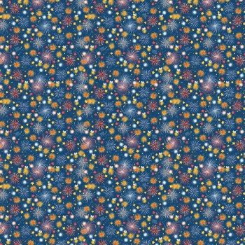 Happy Birthday America Fireworks Navy