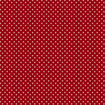 Santa's Coming Ditsy Red