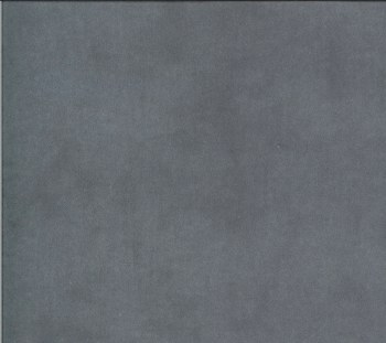 Primitive Muslin Flannel Steel