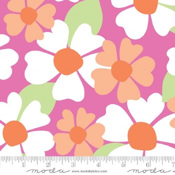 Joysome Petunia 108"