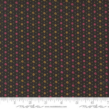 Sagewood Seedling Night Sky