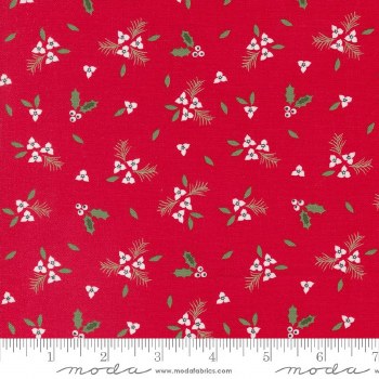 Starberry Pine Springs Red