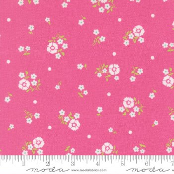 Joysome Petals Petunia