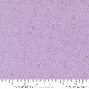 Joysome Sketch Wisteria