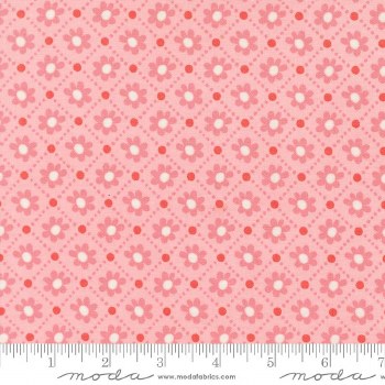 Sunday Brunch Check Bellini