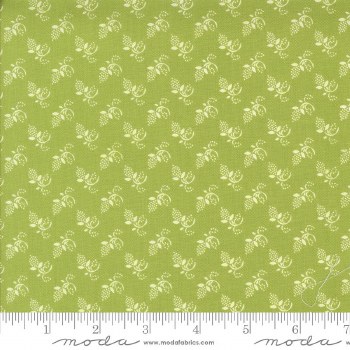 Buon Natale Buds Cedar