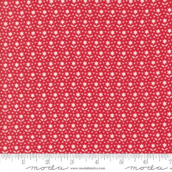 Buon Natale Stars Pomegranate