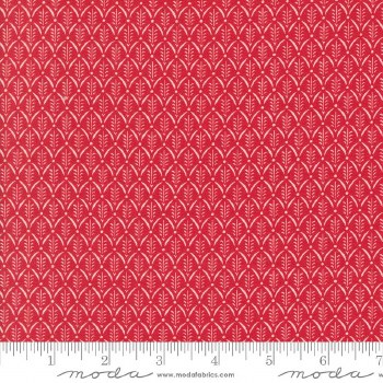 Buon Natale Evergreen Pomegran