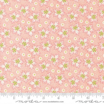 Summers End Leaves Cloud