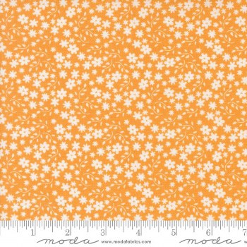 Raspberry Summer Blossom Apric