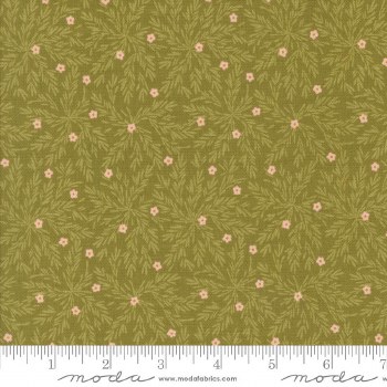 Frivolity Moss Lichen