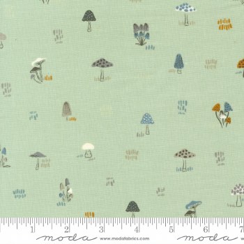 Woodland Wildflowers Mushrooms Mint