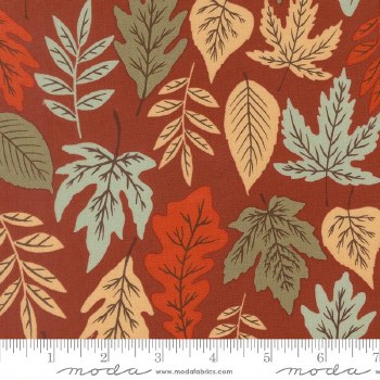 Windfall Lg Leaf Rust