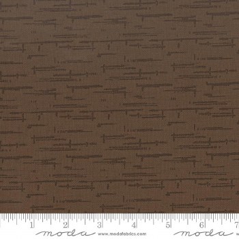 Windfall Texture Coffee