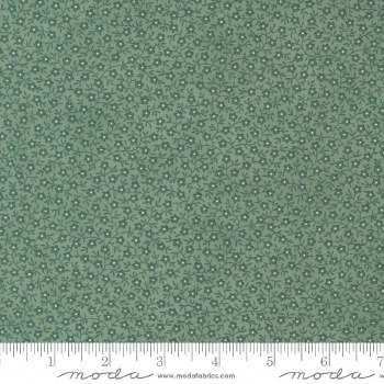 Collections Unity Vine Seaside