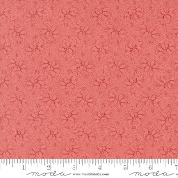 Collections Unity Texture Rose