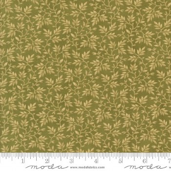 Collections Unity  Leaves Fern