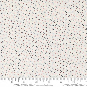 American Gatherings III Confetti Clou