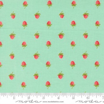 Bloomsberry Berries Aqua